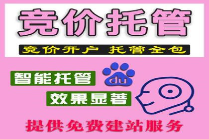 百度SEO推广公司案例解析：实战优化技巧全解读